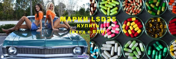 сатива Алзамай