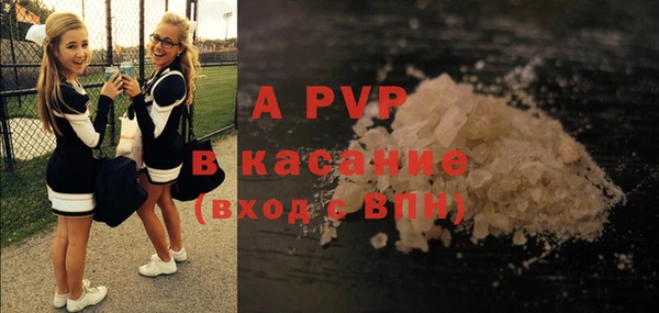 сатива Алзамай
