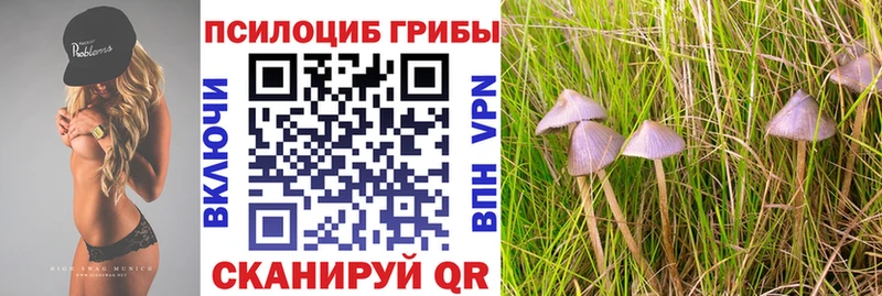 Галлюциногенные грибы ЛСД  купить наркотики цена  Курчалой 